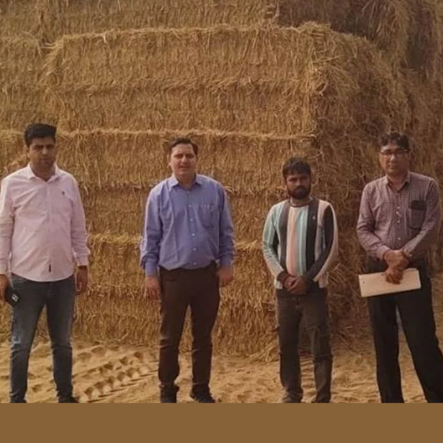 Fatehabad leads way in crop residue management