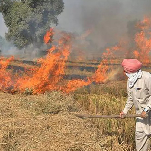 Roots Foundation sensitises Punjab, Haryana farmers on stubble burning